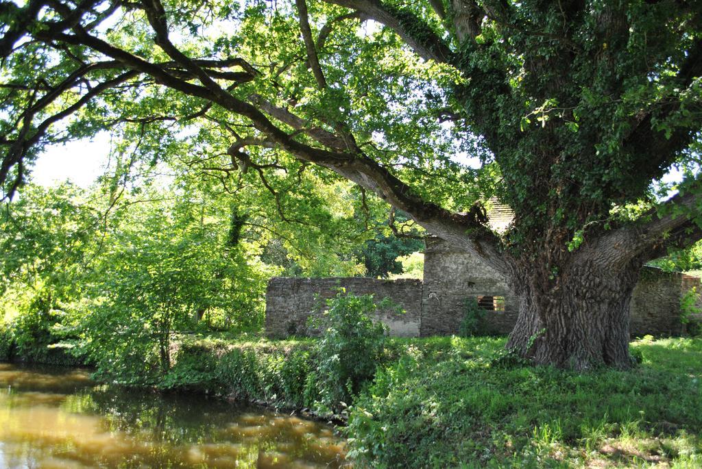 Le Manoir De La Vieille Douve Bed and Breakfast Bourg-d'Ire Exterior foto